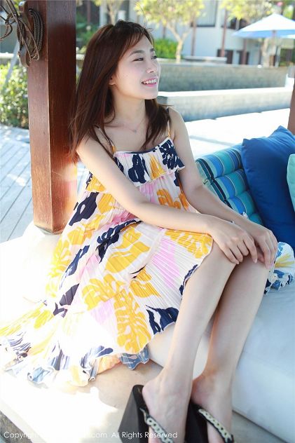 芭比之十二个跳舞的公主 2006