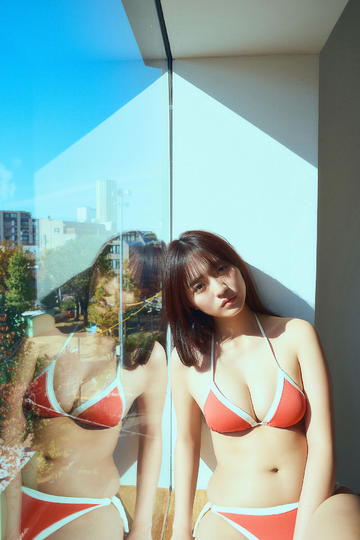 海岸大街上的猫咪侦探